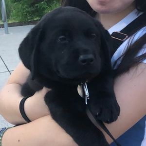 Meet your Posher, Alison